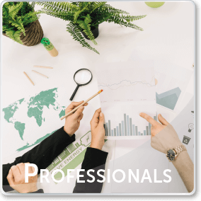 Professionals - Pena Group
