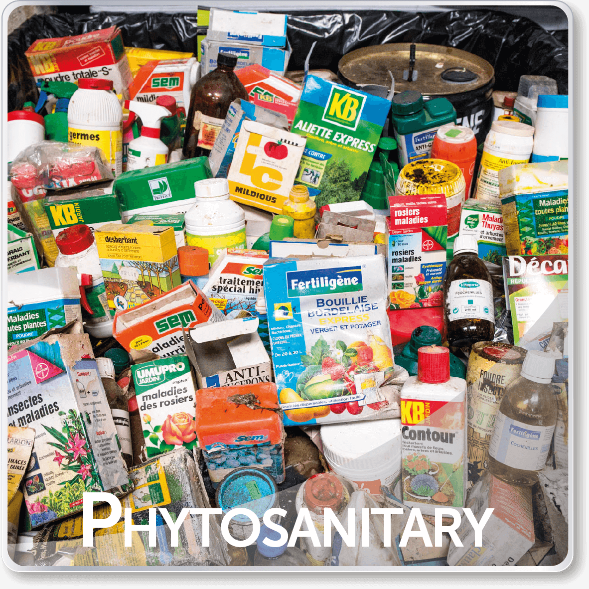 phytosanitary