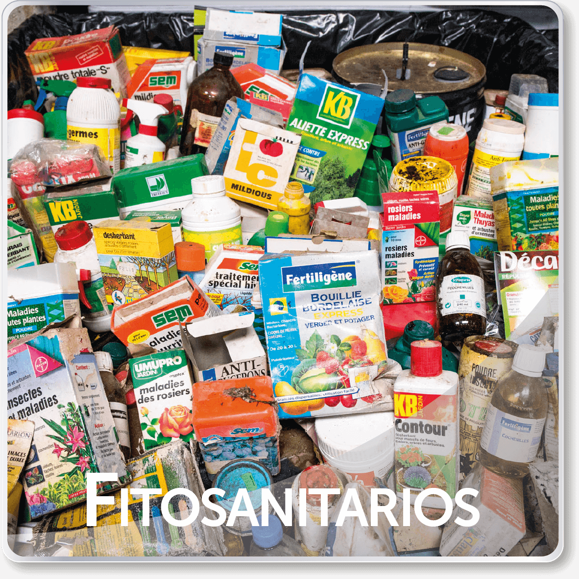 fitosanitarios