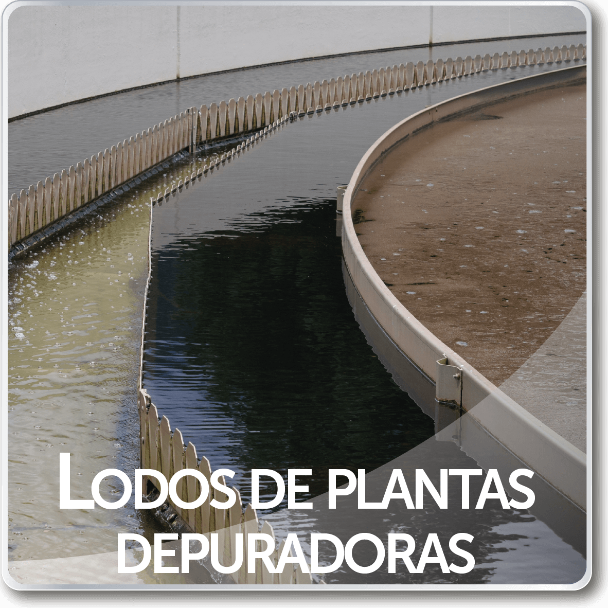 lodos de plantas depuradoras